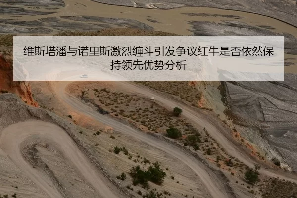 维斯塔潘与诺里斯激烈缠斗引发争议红牛是否依然保持领先优势分析