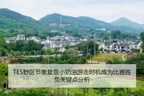 TES野区节奏复盘小奶油游走时机成为比赛胜负关键点分析