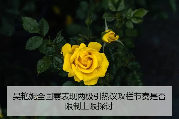 吴艳妮全国赛表现两极引热议攻栏节奏是否限制上限探讨