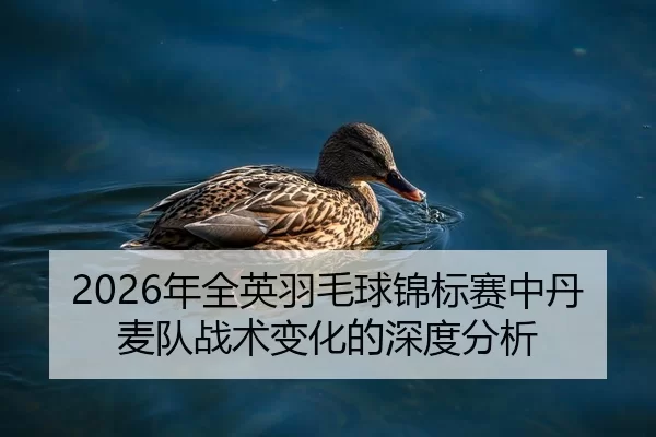 nian-quan-ying-yu-mao-qiu-jin-biao-sai-zhong-dan-mai-dui-zhan-shu-bian-hua-de-shen-du-fen-xi-2-540.jpg