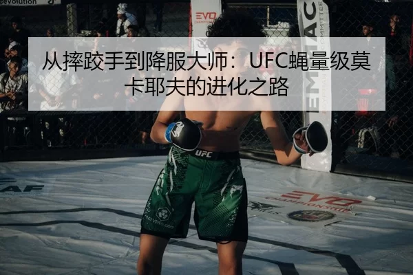从摔跤手到降服大师：UFC蝇量级莫卡耶夫的进化之路