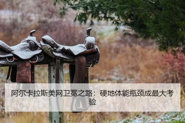 a-er-ka-la-si-mei-wang-wei-mian-zhi-lu-ying-di-ti-neng-ping-jing-cheng-zui-da-kao-yan-2-624.jpg
