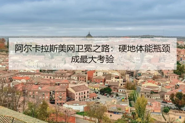 a-er-ka-la-si-mei-wang-wei-mian-zhi-lu-ying-di-ti-neng-ping-jing-cheng-zui-da-kao-yan-3-488.jpg