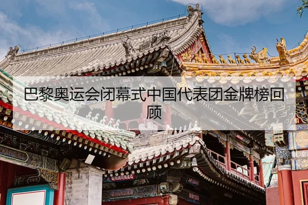 ba-li-ao-yun-hui-bi-mu-shi-zhong-guo-dai-biao-tuan-jin-pai-bang-hui-gu-2-497.jpg