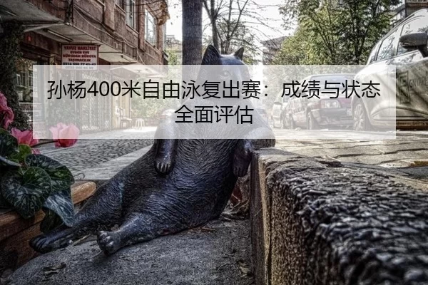 孙杨400米自由泳复出赛：成绩与状态全面评估