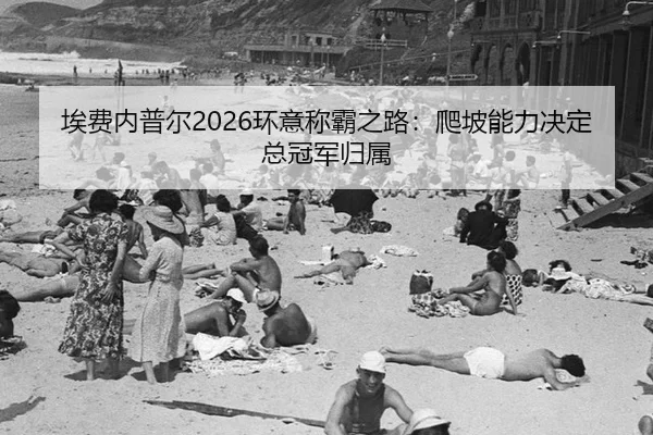 ai-fei-nei-pu-er-huan-yi-cheng-ba-zhi-lu-pa-po-neng-li-jue-ding-zong-guan-jun-gui-shu-2-930.jpg