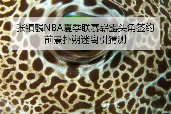 张镇麟NBA夏季联赛崭露头角签约前景扑朔迷离引猜测