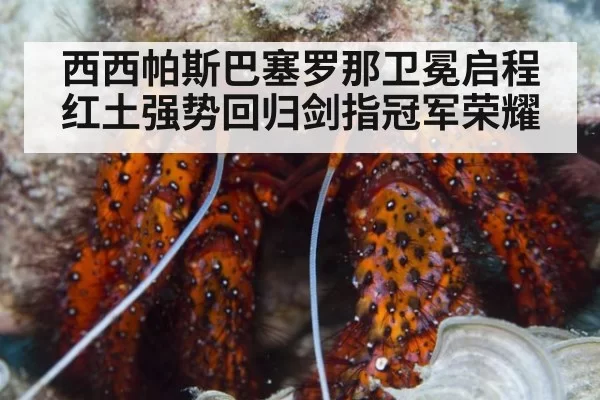 西西帕斯巴塞罗那卫冕启程红土强势回归剑指冠军荣耀