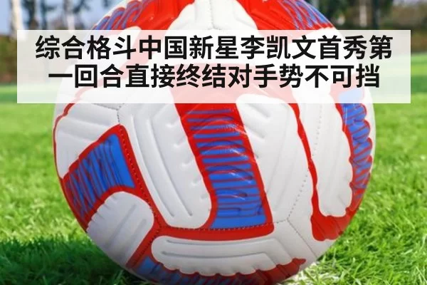 综合格斗中国新星李凯文首秀第一回合直接终结对手势不可挡
