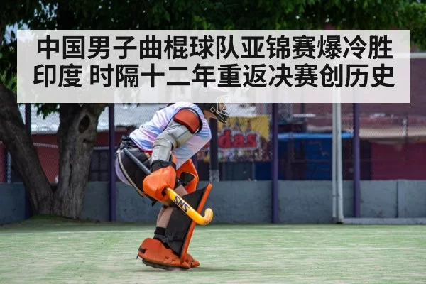 field hockey goalkeeper save